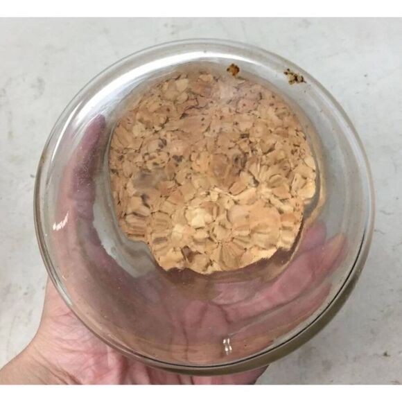 Modern Wide Mouth Medium Size Corked Clear Glass Canister - Bathroom Salt Jar - - Picture 3 of 4